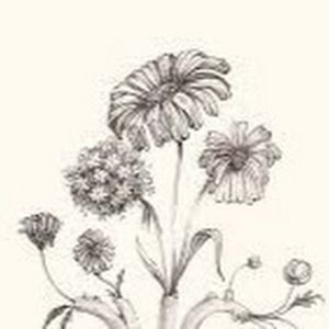 Meet your Posher, Alessandra